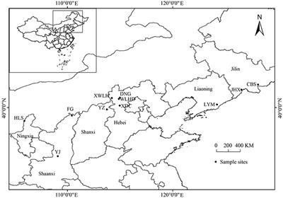 Quality Evaluation of Juniperus rigida Sieb. et Zucc. Based on Phenolic Profiles, Bioactivity, and HPLC Fingerprint Combined with Chemometrics